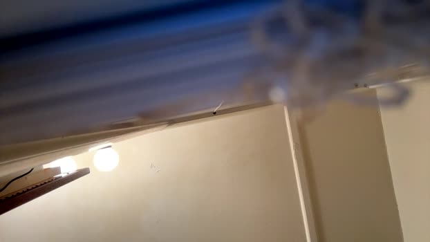 yungstudbev 20-08-2025 video Download