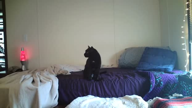 bennybluejeans 20-08-2025 video hot