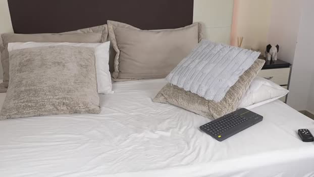 danteestone 20-08-2025 video love