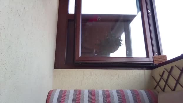 roberto_twink1 22-08-2025 video sexyfeet