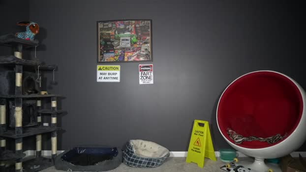 sydaffect 23-08-2025 video wank