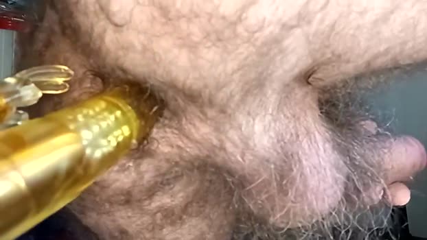 funny_quarantine 24-08-2025 video handsome