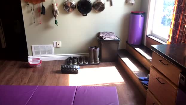 dgrabbin 24-08-2025 video analtoy