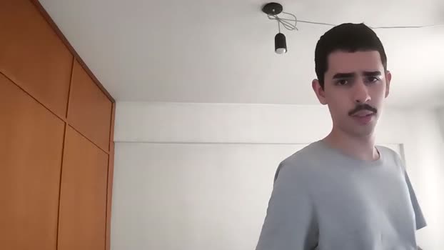 lionbrazilian