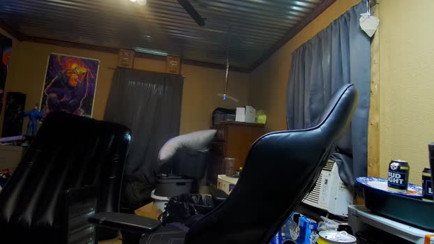 greenlungs8195 05-09-2025 video Download