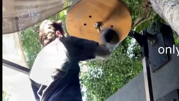 dukethedude 07-09-2025 video oral