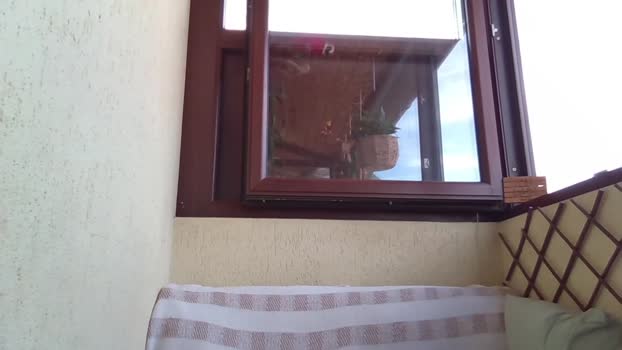 roberto_twink1 11-09-2025 video XXX