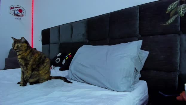 alexander_martines 15-09-2025 video gay