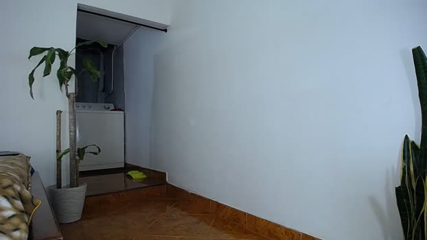 diamond_black00 21-09-2025 video kink