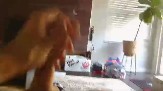 ryanbobby88 25-09-2025 video handsome