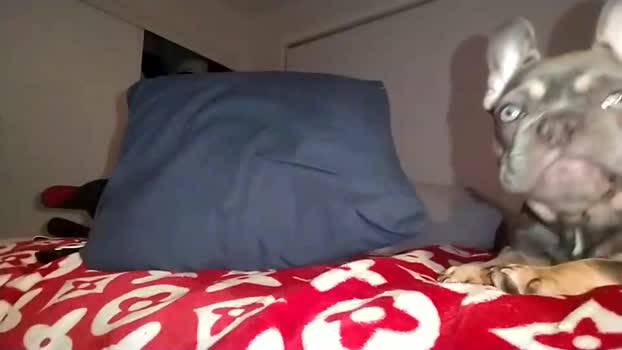 tayboy911 24-09-2025 video wank