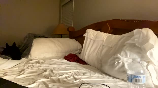 hottiewithabody101 27-09-2025 video prettyface