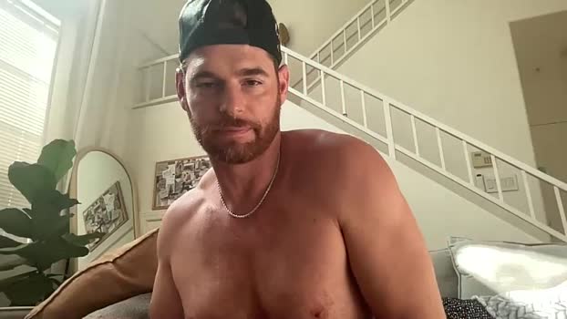 reddead7100 27-09-2025 video nasty