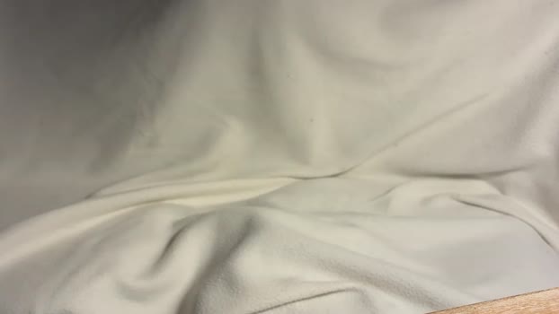 xx11nyc 28-09-2025 video gag