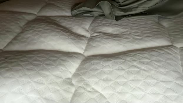 johnjames4200 01-10-2025 video cute