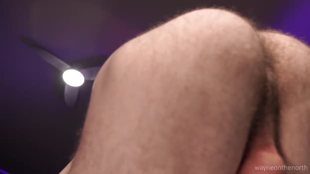 waynenorth 01-10-2025 video suck