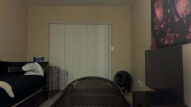 inamate93 05-10-2025 video ass