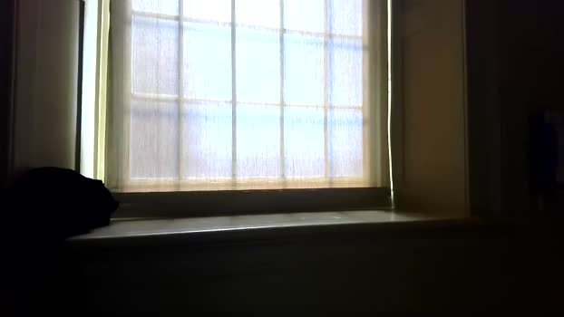 leanlance27 04-10-2025 video analsex