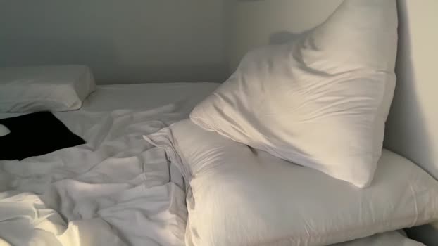 nfeibk 05-10-2025 video ass