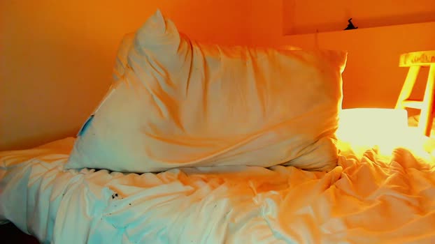 highnightz 08-10-2025 video Video