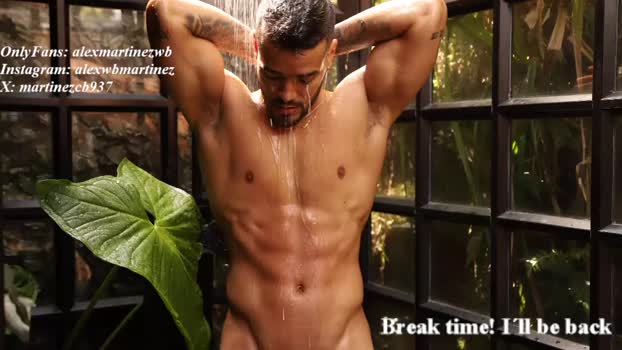 alexander_martines 09-10-2025 video jackoff