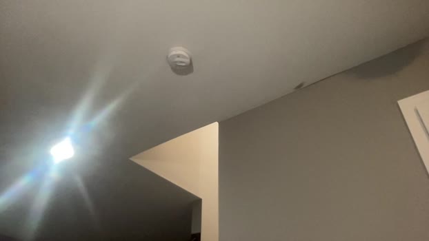 gavinnumbers 13-10-2025 video gag