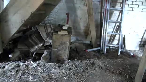 jaydub33 17-10-2025 video cute