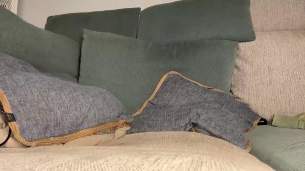 scottdior 19-10-2025 video Ass