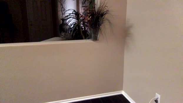 thickdickbigcumshots 18-10-2025 video bigcock