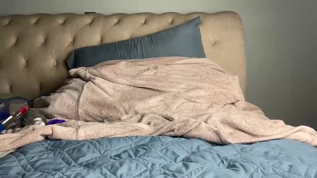 prestonblovestocum 21-10-2025 video Porn