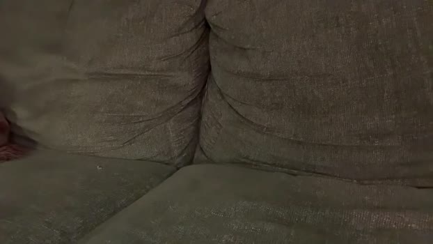 bdenergy99 24-10-2025 video fuckass