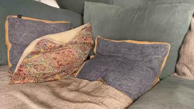 scottdior 24-10-2025 video hardcock