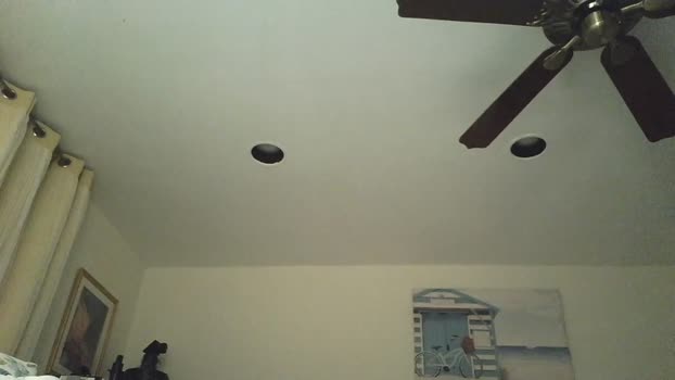 nycbarman82 26-10-2025 video playtime