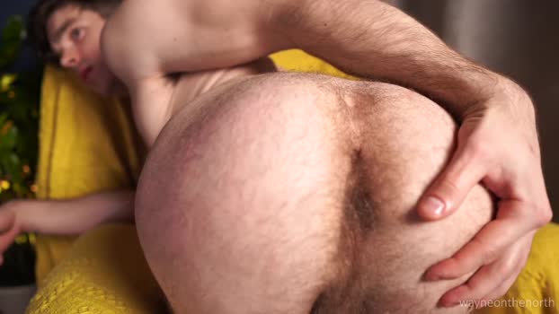 waynenorth 26-10-2025 video love