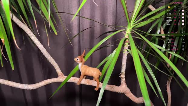 aronyou_win 27-10-2025 video bigload