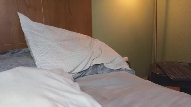 nickjordan1 28-10-2025 video suck