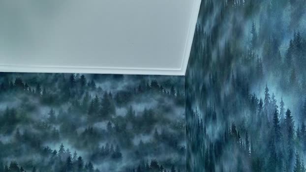 markshot_ 28-10-2025 video toys