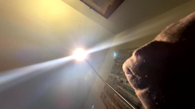 soharddr 29-10-2025 video fuck