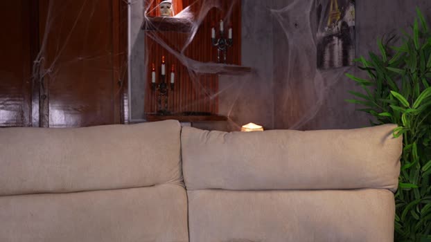 capizzi_ 30-10-2025 video bicurious