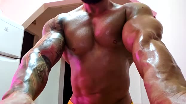 adonis_msc 03-11-2025 video Ass