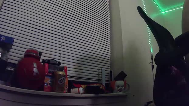 charlied09302 04-11-2025 video hardcock