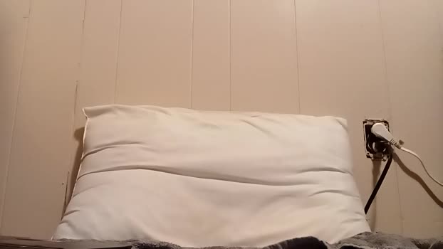 thatb1 04-11-2025 video kink