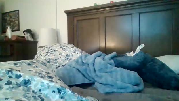 bottomtoy2222 05-11-2025 video bigass