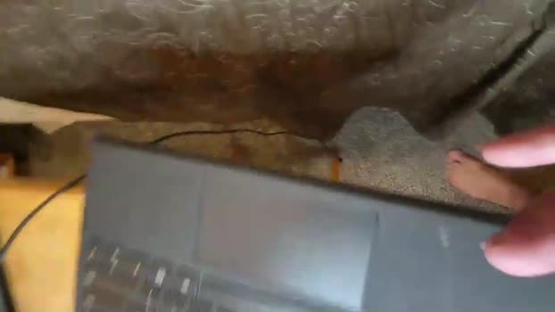 filfaonyx 04-11-2025 video ass