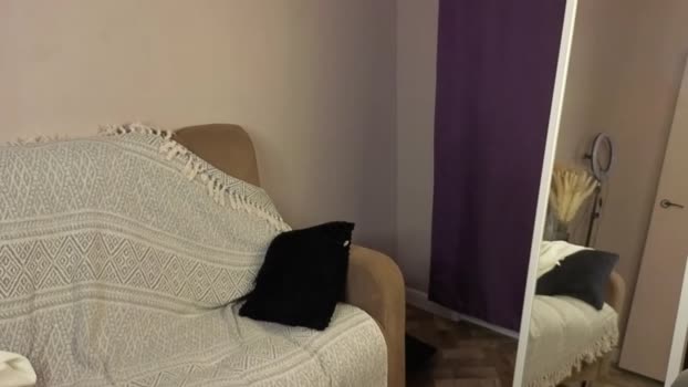 sevans14 05-11-2025 video lovense