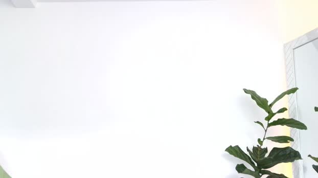 russell_adams_ 07-11-2025 video strip