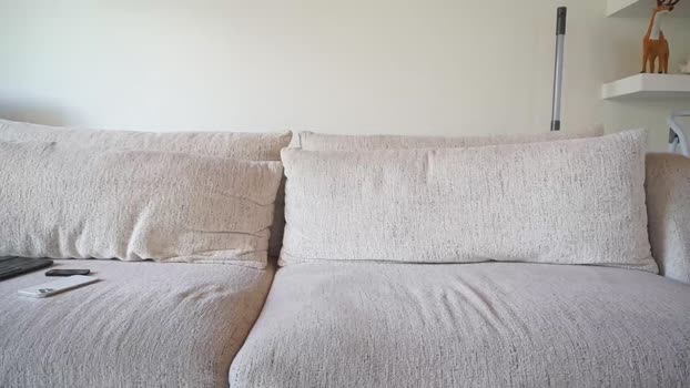 maximohoot 07-11-2025 video ass