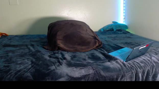 bbrn_88 12-11-2025 video love