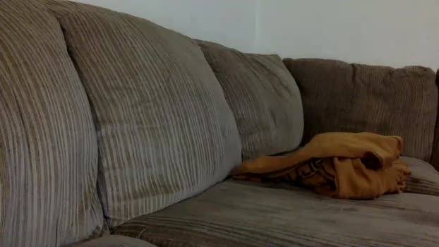 blakeandskylar 16-11-2025 video juicy