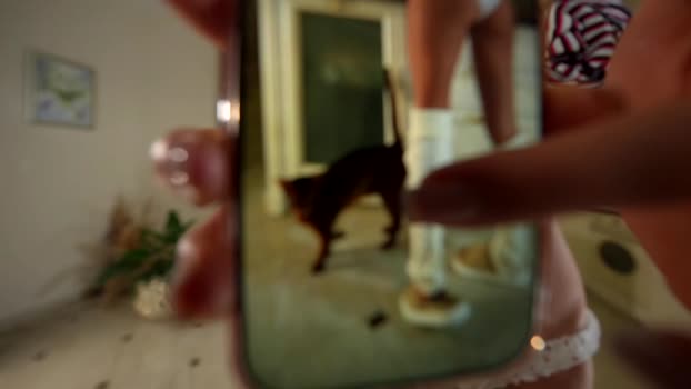 heybanan Chaturbate Female 16-11-2025